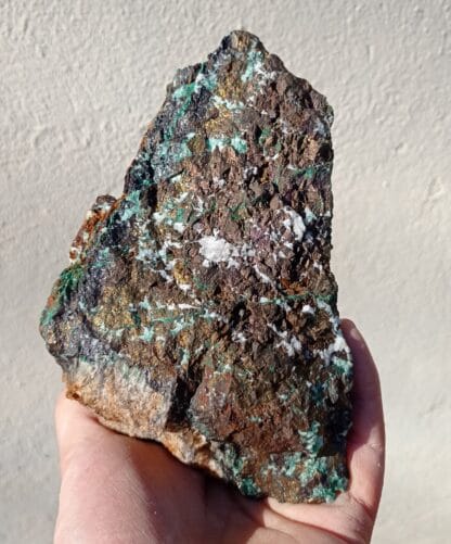 Chalcopyrite et Malachite, Cernay, Haut-Rhin, Alsace.