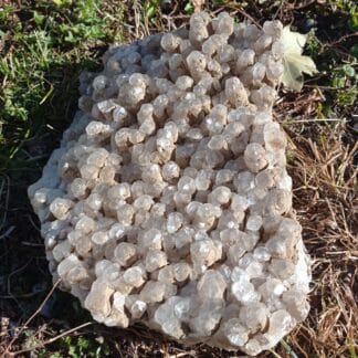 Calcite, Mine de fer de Joudreville (Piennes), Meurthe-et-Moselle.