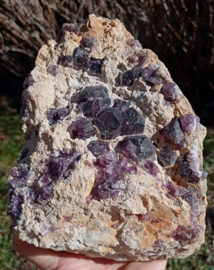 Fluorite (Fluorine), Bois-le-Duc, Foisches, Pointe de Givet, Ardennes.