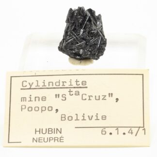 Cylindrite, Mine de Santa Cruz, Poopó, Oruro, Bolivie.