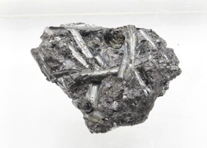 Cylindrite, Mine de Santa Cruz, Poopó, Oruro, Bolivie.