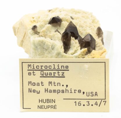 Quartz fumé et Microline, North Moat Mountain, New Hampshire, USA.