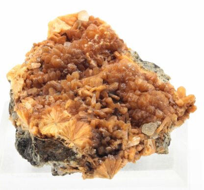 Stilbite, Great Notch, Paterson, New Jersey, Etats-Unis.