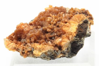 Stilbite, Great Notch, Paterson, New Jersey, Etats-Unis.