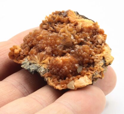 Stilbite, Great Notch, Paterson, New Jersey, Etats-Unis.