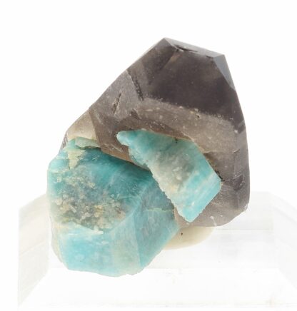 Quartz et Amazonite, Crystal Peak, Teller County, Colorado, États-Unis.