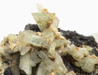 Paravauxite, Mine de Siglo Veinte, Llallagua, Potosí, Bolivie.