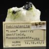 Babingtonite, Carrières Lane & Son, Westfield, Massachusetts, États-Unis.