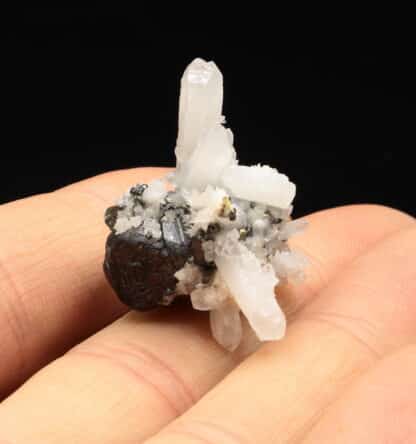 Sphalérite, quartz, pyrite, Province de Huancavelica, Pérou.