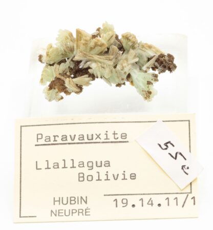 Paravauxite, Mine de Siglo Veinte, Llallagua, Potosí, Bolivie.