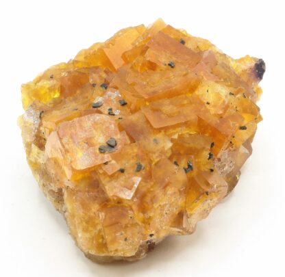 Fluorite jaune, Gersdorf, Mittelsachsen, Saxe, Allemagne.