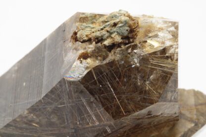 Quartz à rutile, Sontga Brida, Trun, Grisons, Suisse.