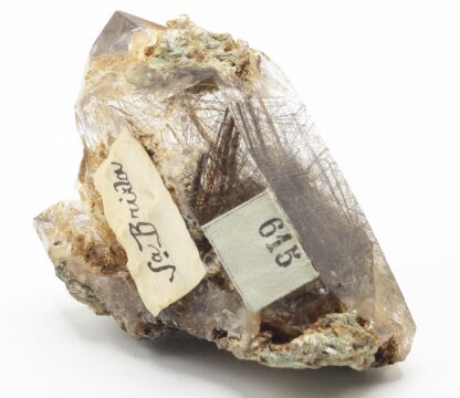 Quartz à rutile, Sontga Brida, Trun, Grisons, Suisse.