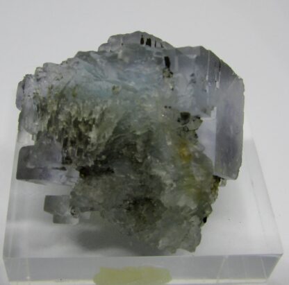 Fluorite et Chalcopyrite, mine de Montroc (Mont-Roc),Tarn.