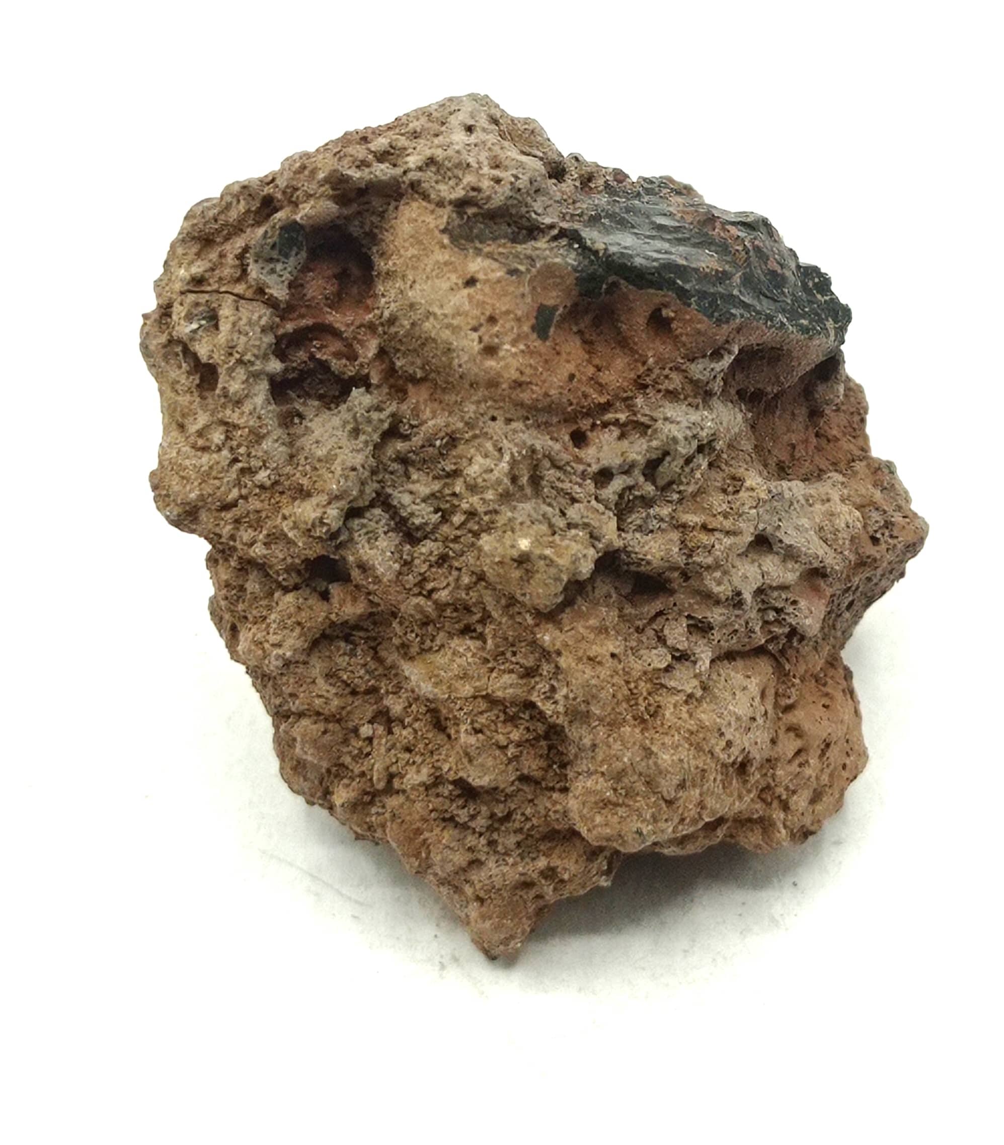 Hornblende basaltique, Face Sud du Puy de Corent, Puy-de-Dôme, Auvergne.