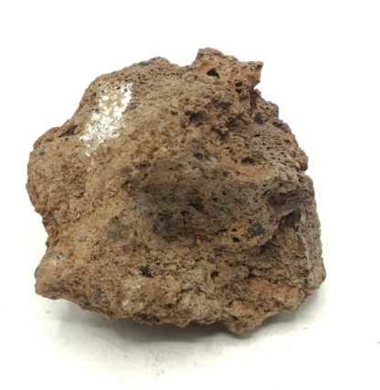 Hornblende basaltique, Face Sud du Puy de Corent, Puy-de-Dôme, Auvergne.