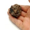 Hornblende basaltique, Face Sud du Puy de Corent, Puy-de-Dôme, Auvergne.