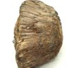 Arséniosidérite, Romanèche-Thorins, Saône-et-Loire.