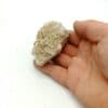 Calcite sur Dolomite, Carrière de Laguépie, Tarn-et-Garonne. – Image 6