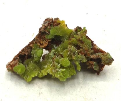 Pyromorphite aciculaire, Saint Salvy, Tarn.