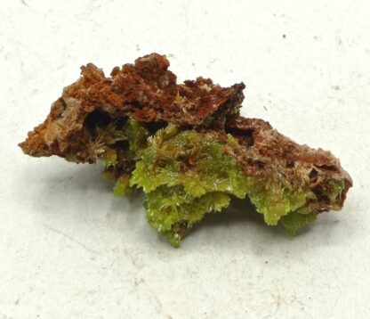 Pyromorphite aciculaire, Saint Salvy, Tarn.