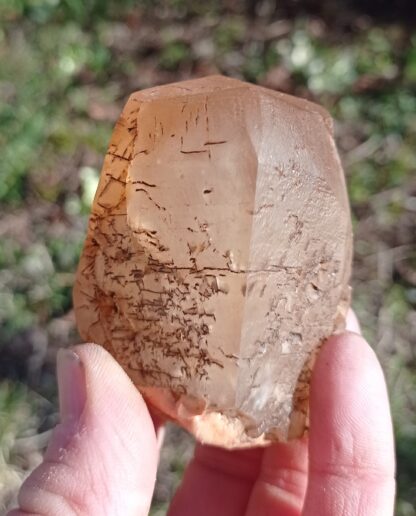 Calcite maclée, Pont-à-Nôle, Mont-sur-Marchienne, Belgique.