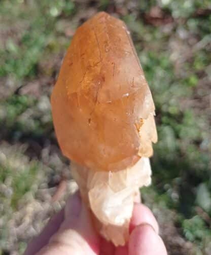 Calcite orange, Pont-à-Nôle, Mont-sur-Marchienne, Belgique.