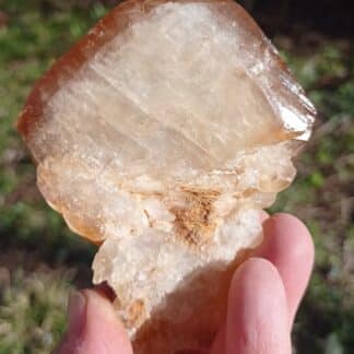 Calcite jaune, Pont-à-Nôle, Mont-sur-Marchienne, Belgique.