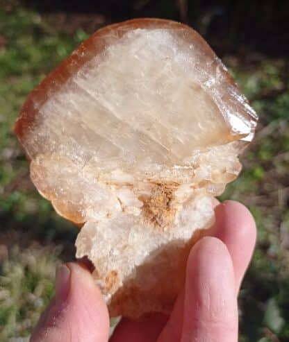 Calcite jaune, Pont-à-Nôle, Mont-sur-Marchienne, Belgique.