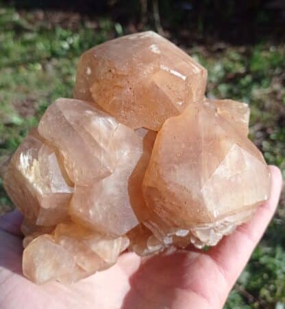 Cristaux de Calcite, Pont-à-Nôle, Mont-sur-Marchienne, Belgique.