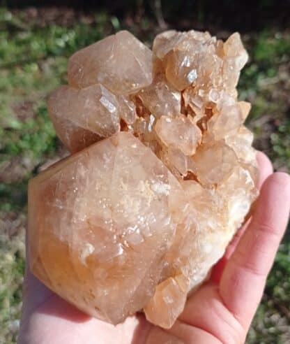 Cristaux de Calcite, Pont-à-Nôle, Mont-sur-Marchienne, Belgique.