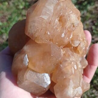 Cristaux de Calcite, Pont-à-Nôle, Mont-sur-Marchienne, Belgique.