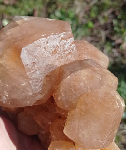 Cristaux de Calcite, Pont-à-Nôle, Mont-sur-Marchienne, Belgique.