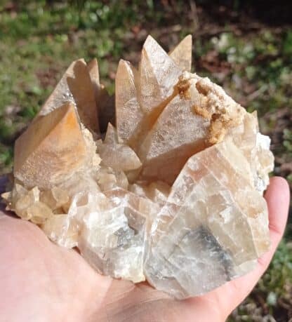 Calcite en scalénoèdres, Loverval, Couillet, Belgique.