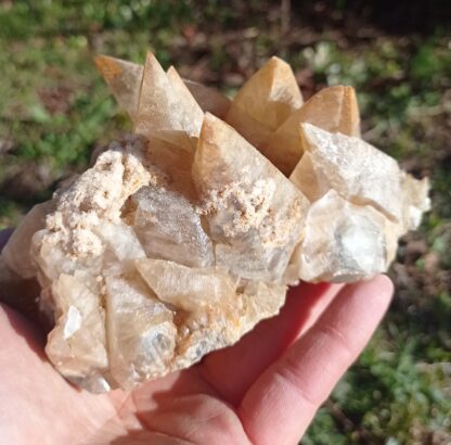 Calcite en scalénoèdres, Loverval, Couillet, Belgique.