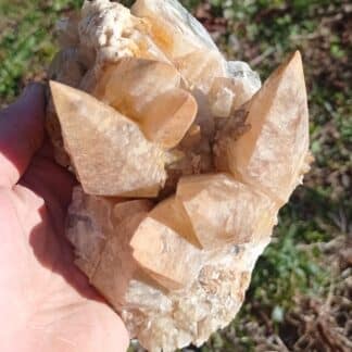 Calcite en scalénoèdres, Loverval, Couillet, Belgique.