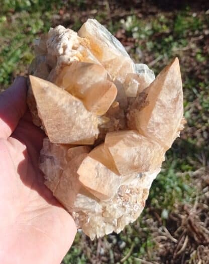 Calcite en scalénoèdres, Loverval, Couillet, Belgique.