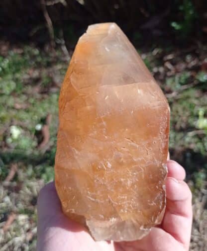 Calcite maclée, Pont-à-Nôle, Mont-sur-Marchienne, Belgique.