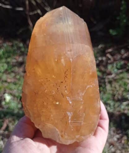 Calcite maclée, Pont-à-Nôle, Mont-sur-Marchienne, Belgique.