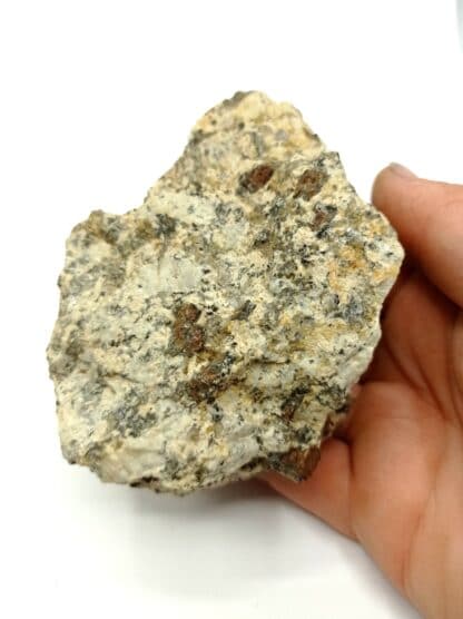 Cordiérite Gigantolite, Kerbizien, Huelgoat, Finistère, Bretagne.