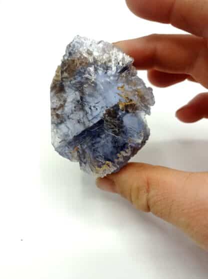 Fluorine (Fluorite) bleue, Carrière du Boltry (ex Brison), Seilles, Belgique.