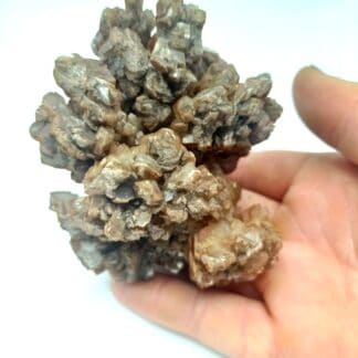 Calcite, Santa Eulalia, Chihuahua, Mexique.