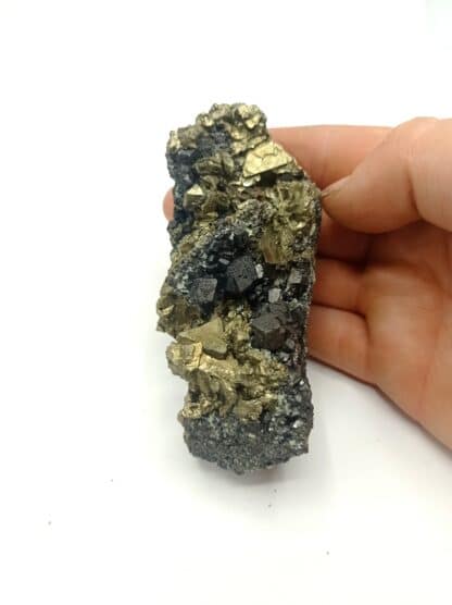 Magnétite et Pyrite, Mine Traversella, Italie.