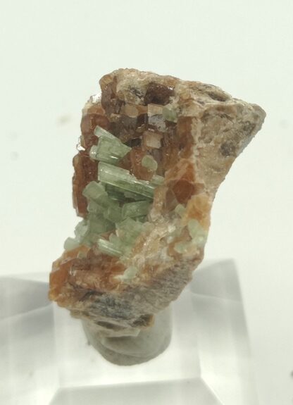 Diopside sur Grenat, Mine des Clausis, Saint-Véran, Hautes-Alpes.