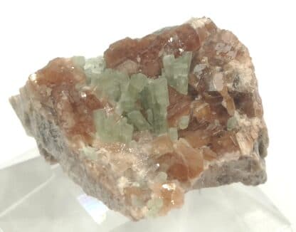 Diopside sur Grenat, Mine des Clausis, Saint-Véran, Hautes-Alpes.