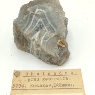 Chalcedon grau gestreift (Agate), Kozakav (Ještěd-Kozákov), République Tchèque.