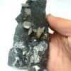 Zweckenspath mit Sideritzöpfen (Calcite), Ex. Coll. Przibram, Autriche.