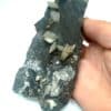 Zweckenspath mit Sideritzöpfen (Calcite), Ex. Coll. Przibram, Autriche. – Image 2