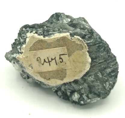 Pyrolusit (Pyrolusite), Freiberg, Saxe, Allemagne.