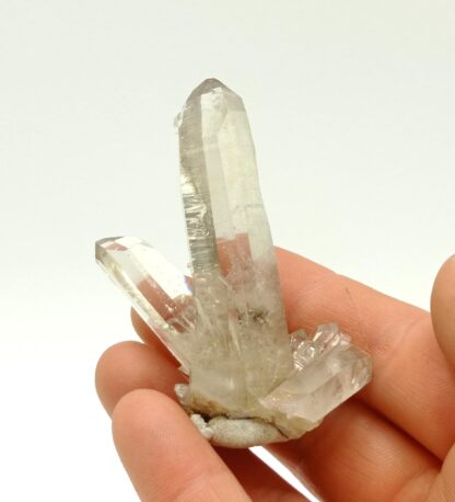 Quartz fumé, Sarennes, Alpe d’Huez, Oisans, Isère.